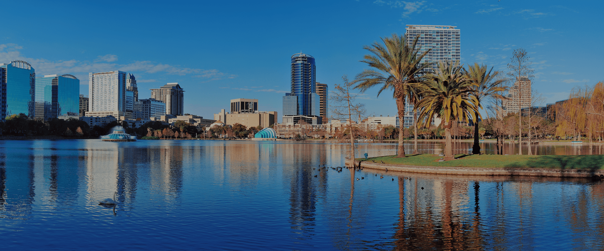 Infocomm | Lund Halsey Infocomm | Lund Halsey
