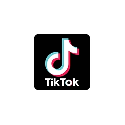 Tik Tok Logo 250 x 250